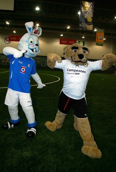 Las mascotas poniendo el buen ambiente