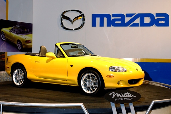 los autos mundialistas 17