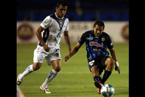 Los emplumados entraron con las alas entumidas.