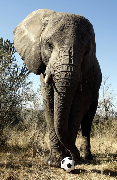 Mirada Profunda... 10