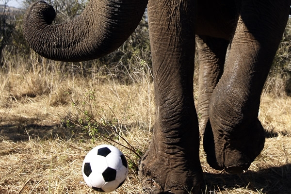 Mirada Profunda... 10