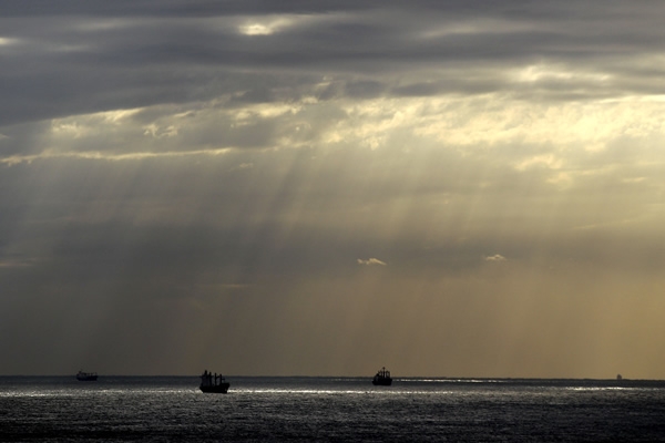 Mirada Profunda... Día 5