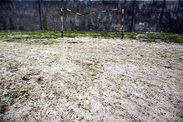 Mirada Profunda... Día 15