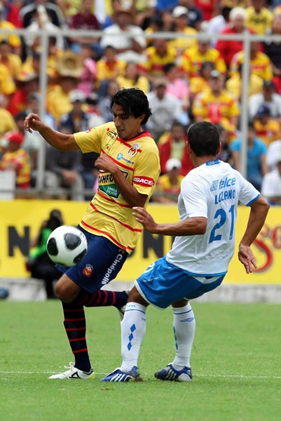 Morelia9