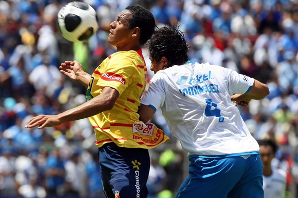Morelia32