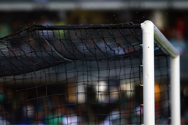 Ni las abejas se perdieron el partido