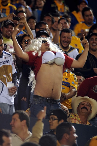 Original aficionado regio