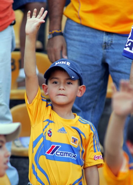 Pequeño aficionado felino