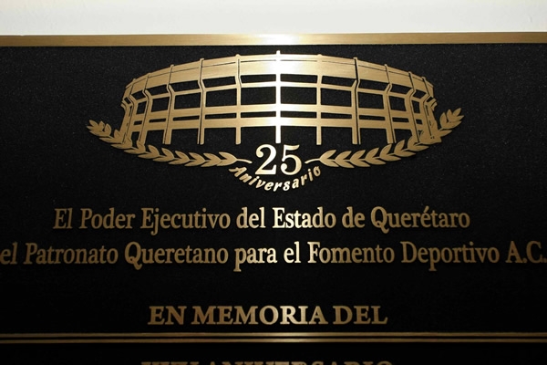 Querétaro-Chivas 15