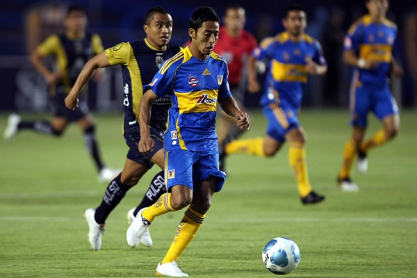 San Luis nunca pudo alcanzar a los felinos