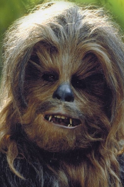 sw 5