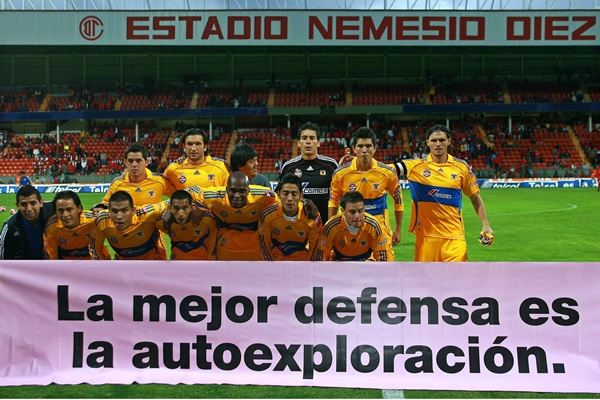 Tigres es retratado antes del inicio del partido