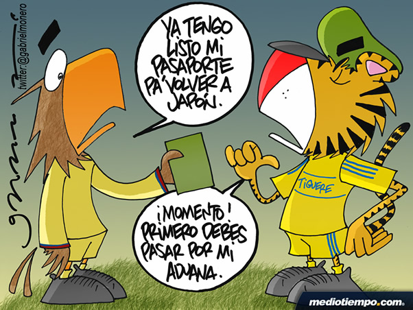 Aduana de Tigres ante América
