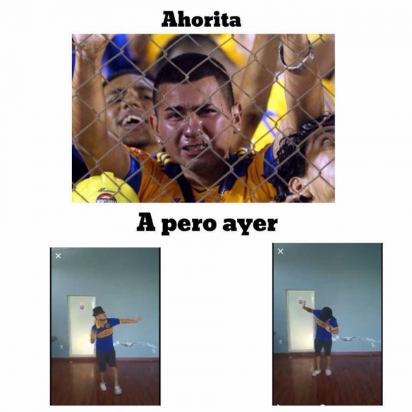 Tigres, el 'clásico' cliente en memes