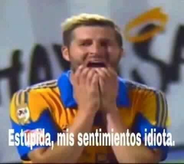 Tigres, el 'clásico' cliente en memes
