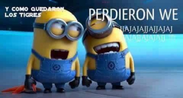 Tigres, el 'clásico' cliente en memes