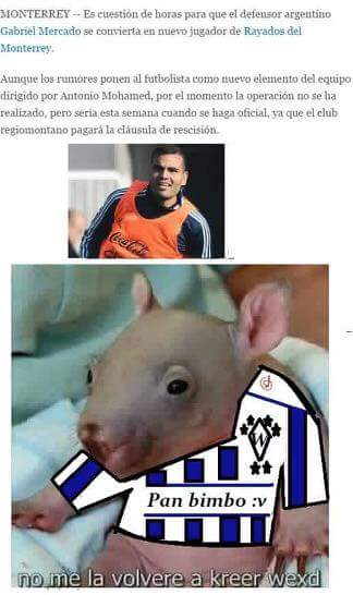 Rayados, la burla en memes por culpa de Mercado