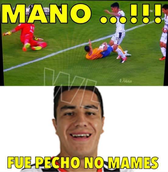 Tigres y Rayados, en los Memes de la J2