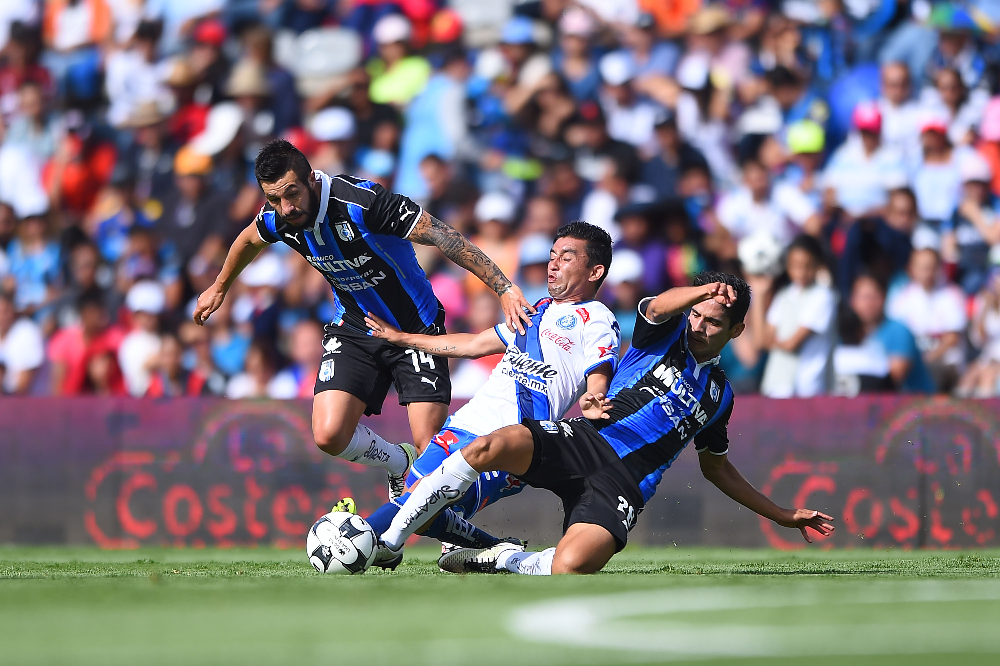 Bermúdez fue neutralizado por los jugadores de Gallos.