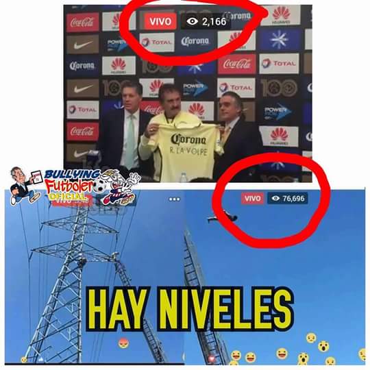 Bienvenida en memes para La Volpe