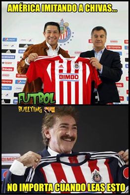 Bienvenida en memes para La Volpe