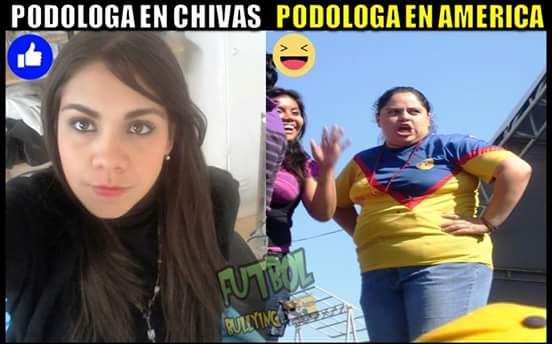 Bienvenida en memes para La Volpe
