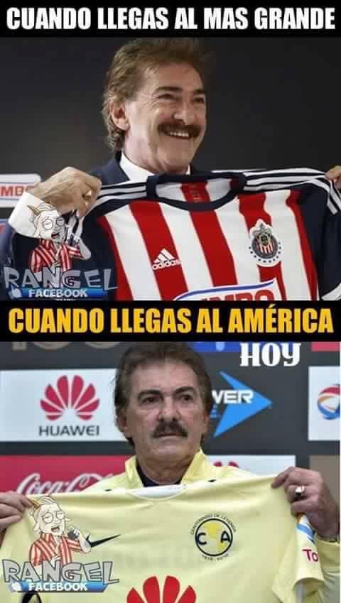 Bienvenida en memes para La Volpe