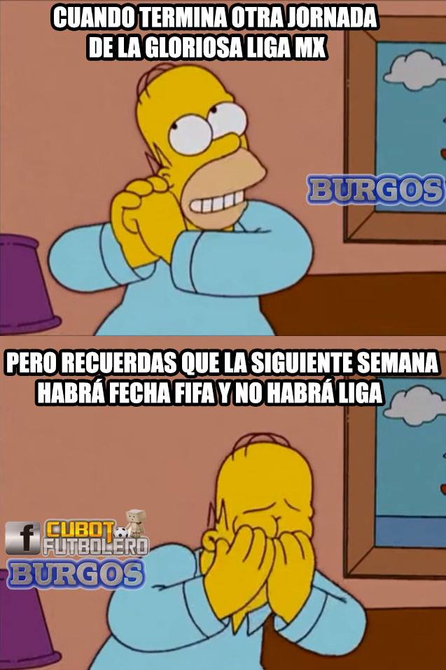 Los mejores memes de la Jornada 12 del A2016 de la Liga MX