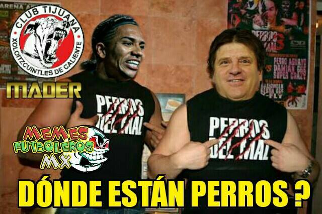 Los mejores memes de la Jornada 14 del A2016 de la Liga MX.