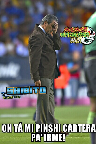 Los mejores memes de la Jornada 14 del A2016 de la Liga MX.