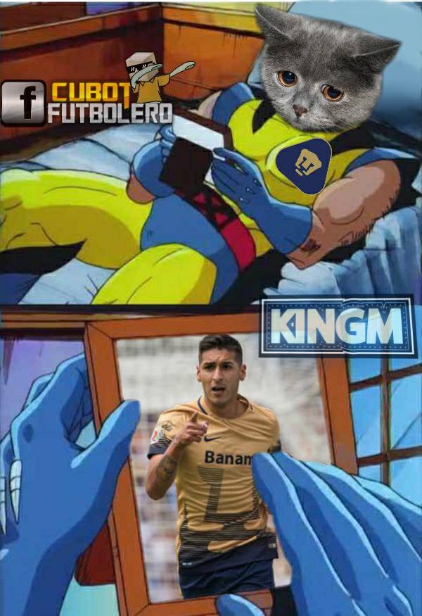 Los mejores memes de la Jornada 14 del A2016 de la Liga MX.