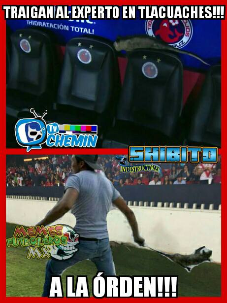 Infaltables e imperdibles, los memes de la J15 del A2016 de la Liga MX.