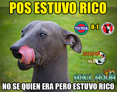 Infaltables e imperdibles, los memes de la J15 del A2016 de la Liga MX.