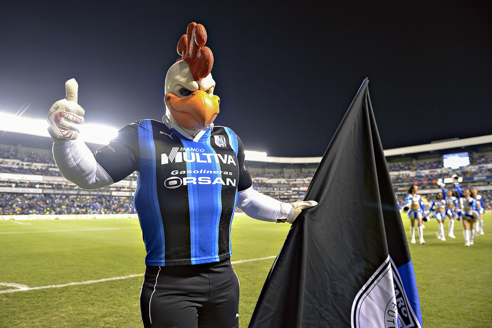 Canta el Gallo como ¡Campeón de la Copa MX!