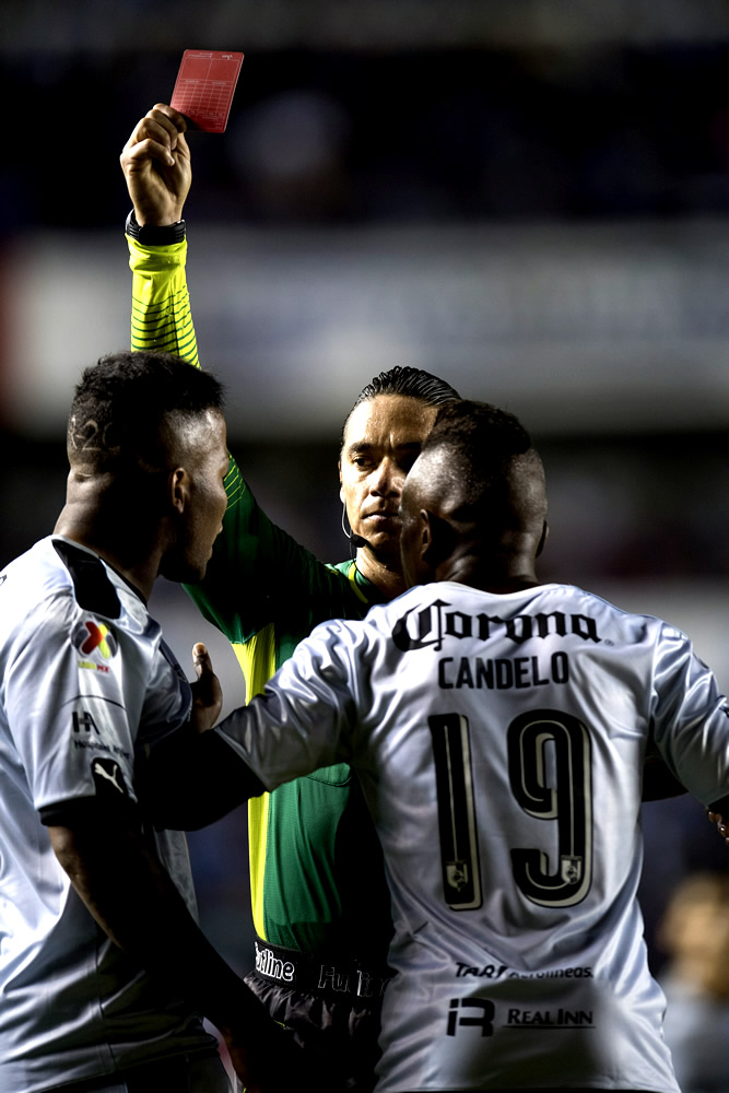 Canta el Gallo como ¡Campeón de la Copa MX!