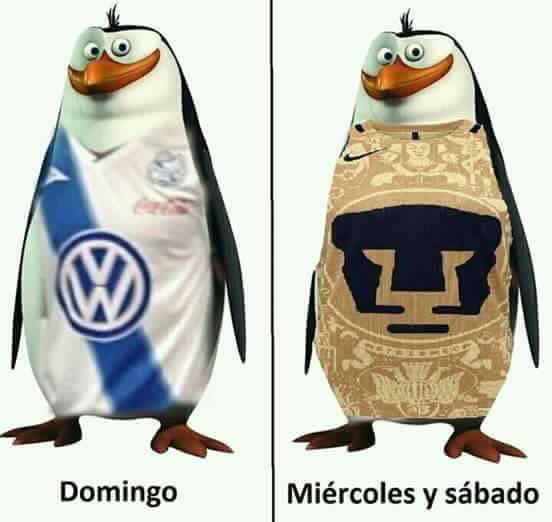 Tigres masacró a Pumas hasta en memes