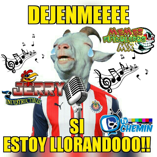 América volvió a echar a Chivas de Liguilla y los memes no dejan de burlarse.