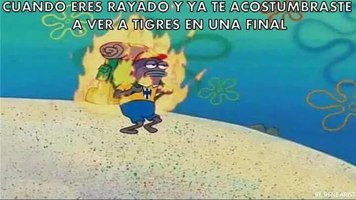 Tigres en la Final y Rayados arde en los Memes