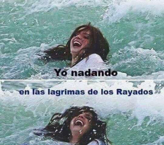 Tigres en la Final y Rayados arde en los Memes