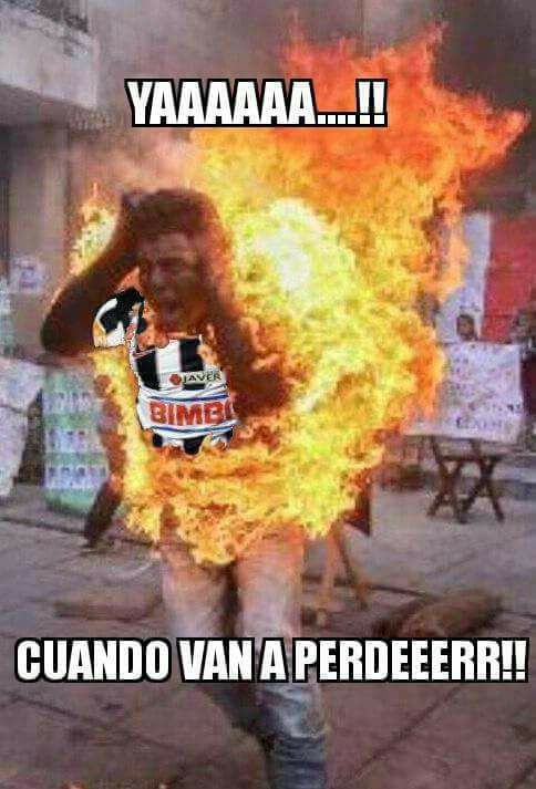 Tigres en la Final y Rayados arde en los Memes