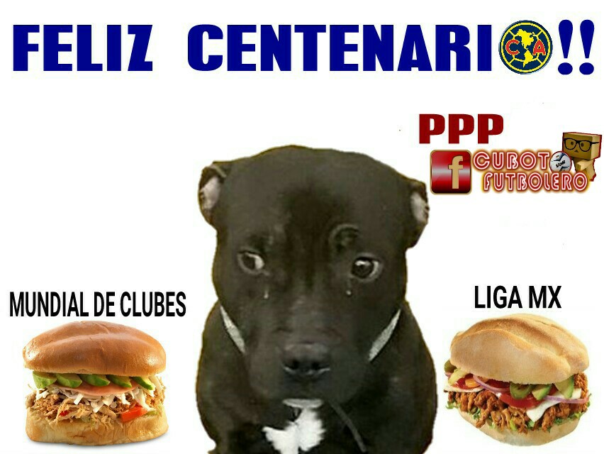 América sí es campeón... en burlas de los memes