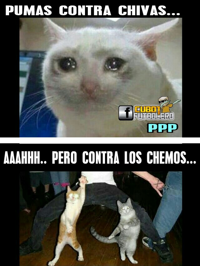 Ríete con los memes de la J2