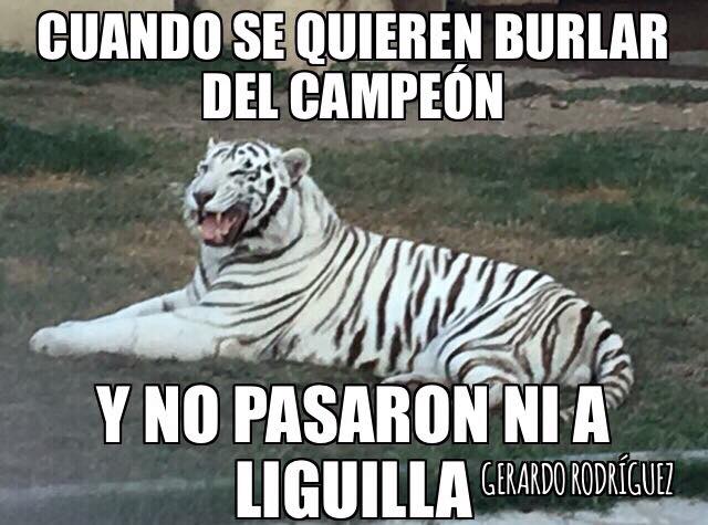 Memes Regios