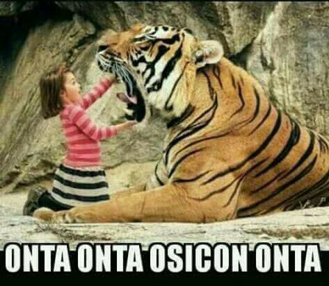 Memes de Tigres - J4