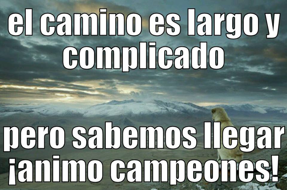 Memes Regios de la Jornada 5