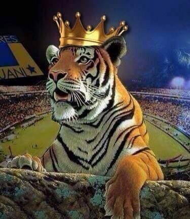 Memes Regios de la Jornada 5