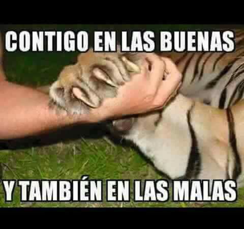 Memes Regios de la Jornada 5