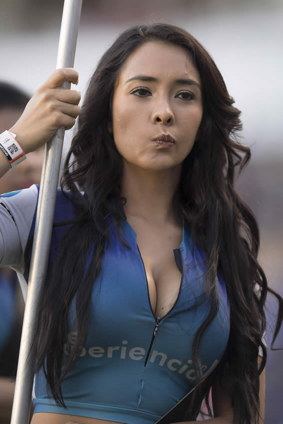 Las chicas más bellas en los estadios de la Liga MX durante el fin de semana.