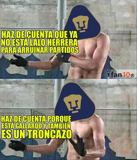 Los mejores memes de la J6 del C2017