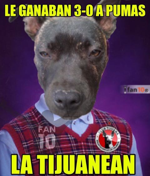 La Volpe y Cruz Azul, las víctimas de los memes de la J7